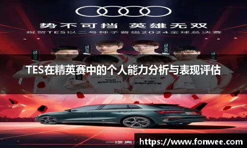 TES在精英赛中的个人能力分析与表现评估
